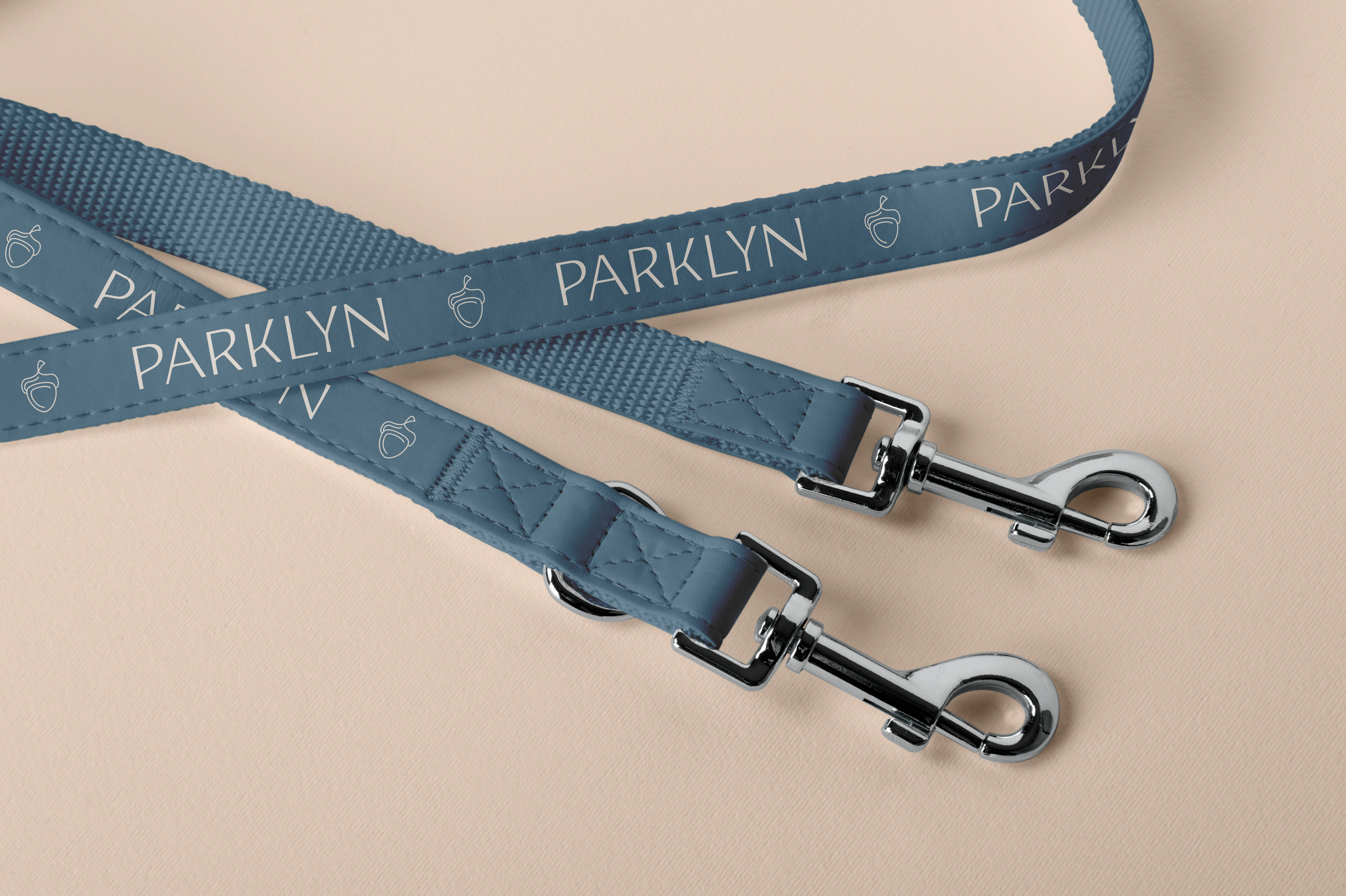 Parklyn pet leash